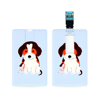 USB 기념품제작 망고스토리지 카드형 USB3.0메모리 16GB 대표이미지