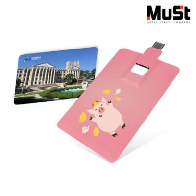 뮤스트 카드 OTG C TYPE USB 판촉물 제작 2.0 메모리 16GB 대표이미지