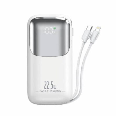 빌트인 LED PD 22.5W 10000mAh 고속 보조배터리 추천 제작 C타입8핀 4대 동시충전 대표이미지