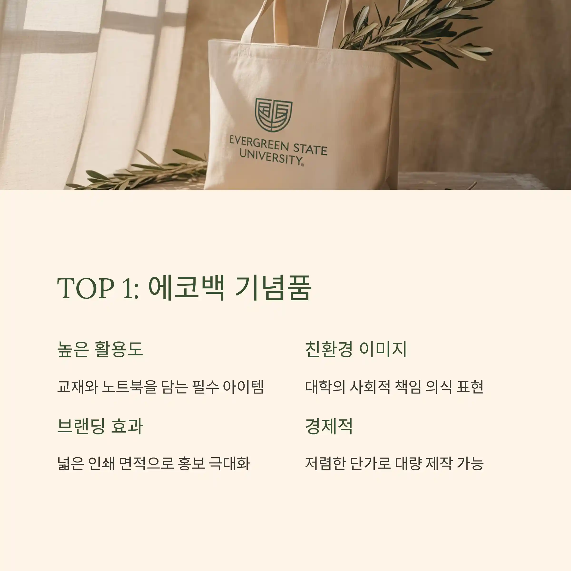 대학 기념품 제작 에코백